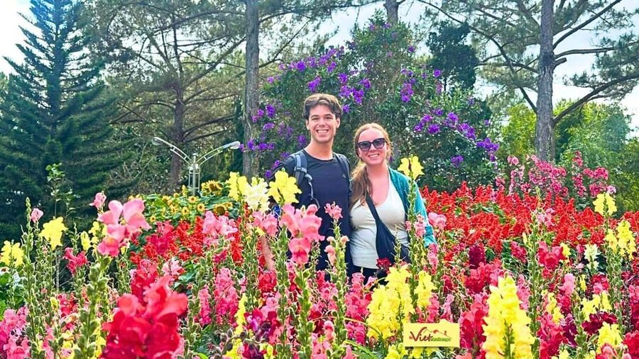 Dalat Top Tourists Sights - Waterfall & luge kart/Mario kart - Datanla Waterfall and Alpine Coaster: pine forest views with optional adrenaline
