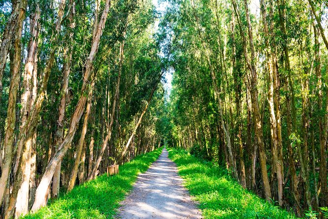 Discover Mua Xuan Nature Reserve - Honey bee hives and why wetlands matter