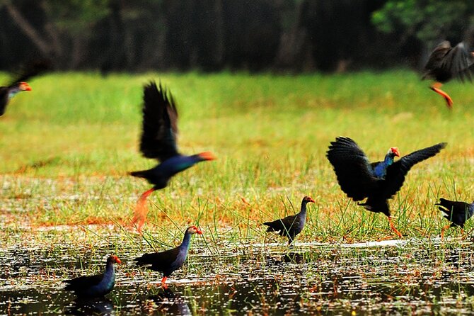 Discover Mua Xuan Nature Reserve - Bamboo Basket Village: turning bamboo and rattan into something lasting