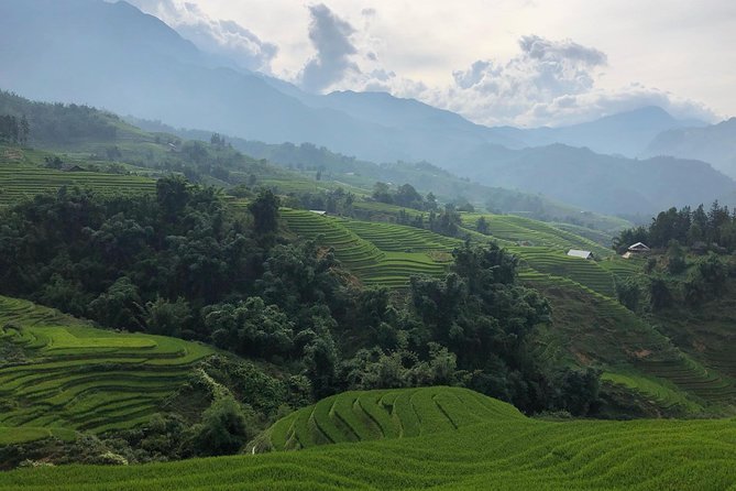 Discover the Beauty of Sa Pa: A One-Day Trek - Muong Hoa Valley: Rice Terraces, Mountain Views, and the Weather Factor