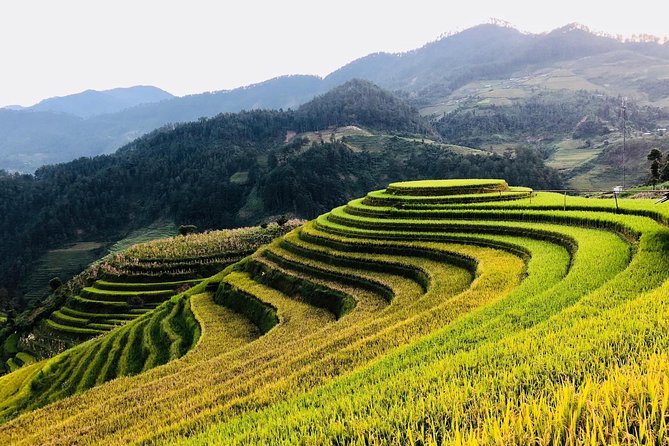 Discover the Beauty of Sa Pa: A One-Day Trek - Guides and Group Size: Why This Can Feel Personal