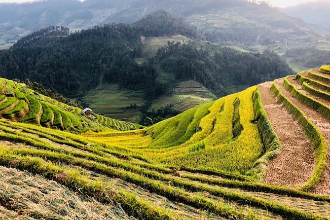 Discover the Beauty of Sa Pa: A One-Day Trek - Pickup, Return Transport, and Luggage Storage That Helps You Plan