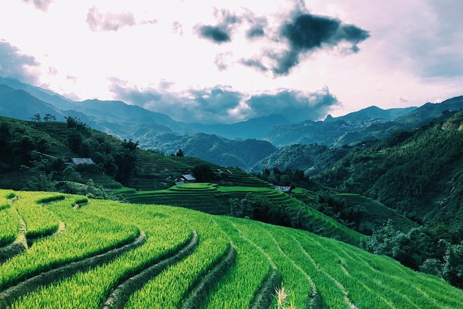Discover the Beauty of Sa Pa: A One-Day Trek - Included Lunch and Bottled Water: Small Cost, Big Relief