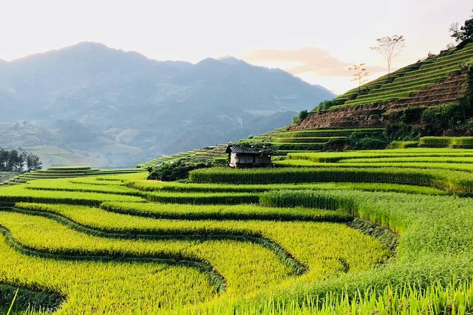 Discover the Beauty of Sa Pa: A One-Day Trek - Y Linh Ho and the Black Hmong Village Stop
