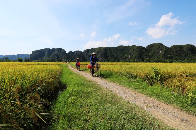 Discover Trang An Natural World Heritage, Bich Dong Pagoda, Cycling Day Tour - Who This Tour Suits Best