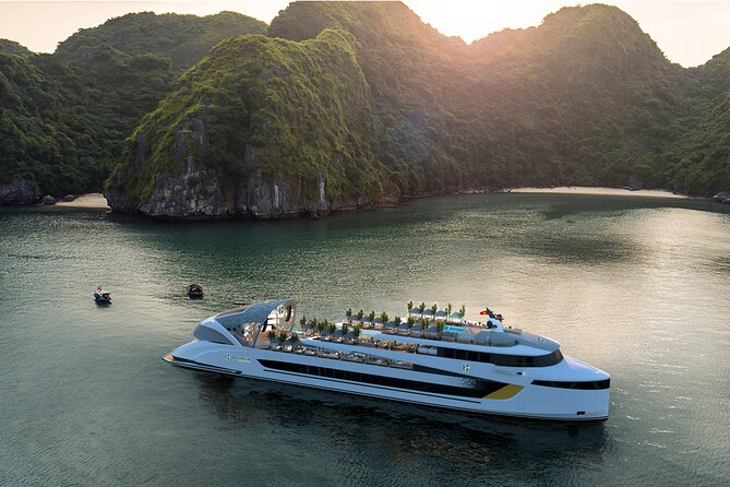 Dolphin Cruise – Experience Halong Bay in Timeless Luxury - Key highlights I’d plan around