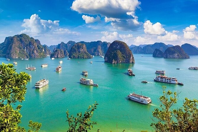 Elite of The Seas - Top Vip Luxury Cruise in Halong Bay ( 2D1N ) - Day 2 cave time in Lan Ha: tai chi, light breakfast at Cirrus Cloud, and two ways to row