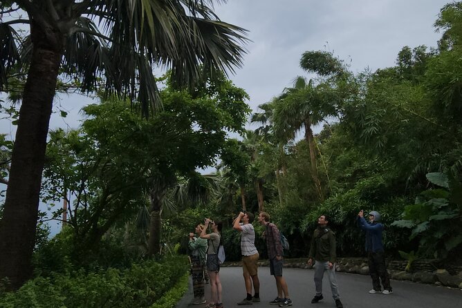 Endangered Monkeys Watching - Red Shanked Douc Langurs - Why this endangered langur tour feels different than a typical wildlife stop