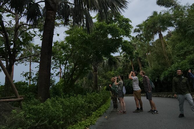 Endangered Monkeys Watching - Red Shanked Douc Langurs - What to bring (and what helps your photos)