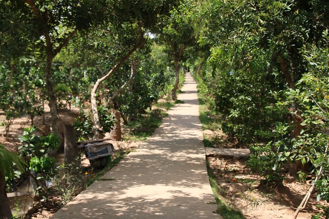 Essential Mekong Delta: Highlights Tour from Ho Chi Minh City - Getting From Ho Chi Minh City to My Tho at 8:00