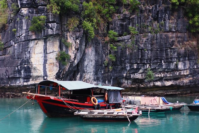 Excursion to Ha Long Bay with Titop Island and kayaking in Luon Cave - Guide and group size: how it affects the day