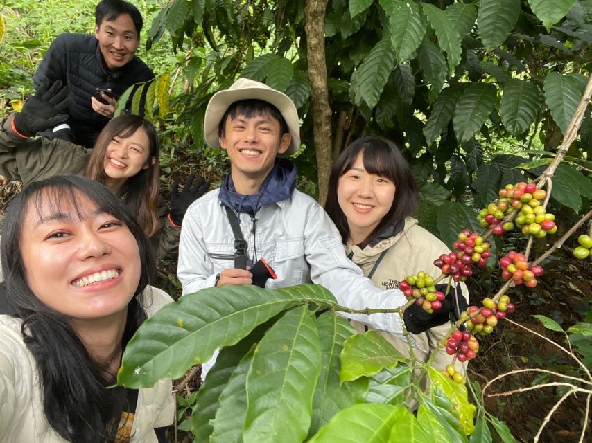 Experience specialty coffee with sustainable coffee farmers - Light, Medium, and Dark Brewing, Plus the Phin Finale