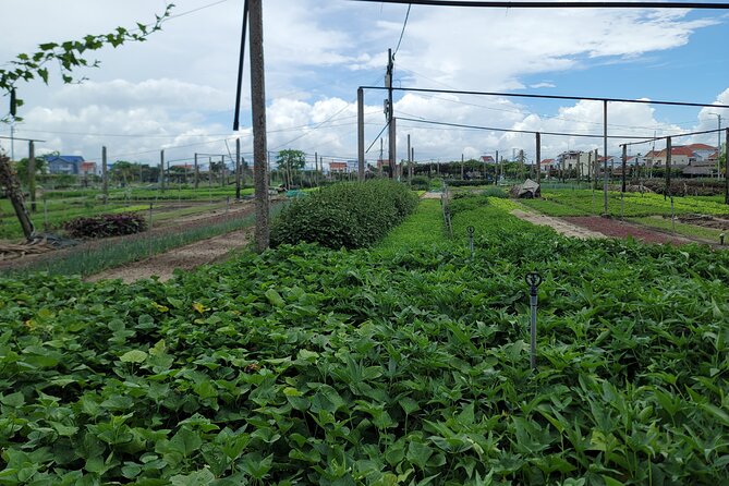 Explore Hoi An ancient town and local villages with a local guide - Tra Que Vegetable Village and the cooking class that explains the food