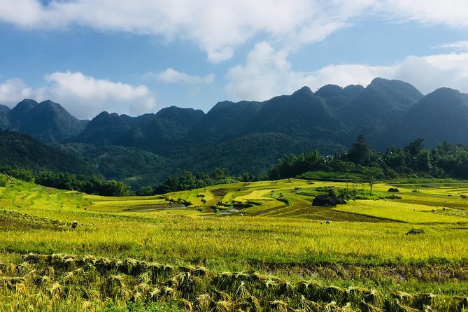 Explore Mai Chau - Pu Luong - Ninh Binh 4 Days / 3 Nights - Key points worth knowing before you go
