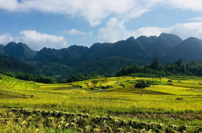 Explore Mai Chau - Pu Luong - Ninh Binh 4 Days / 3 Nights - Who this tour suits best