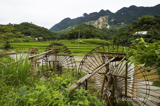 Explore Mai Chau - Pu Luong - Ninh Binh 4 Days / 3 Nights - Day 3 in Pu Luong: Kho Muong Village, Bat Cave, and rice-terrace viewpoints on foot