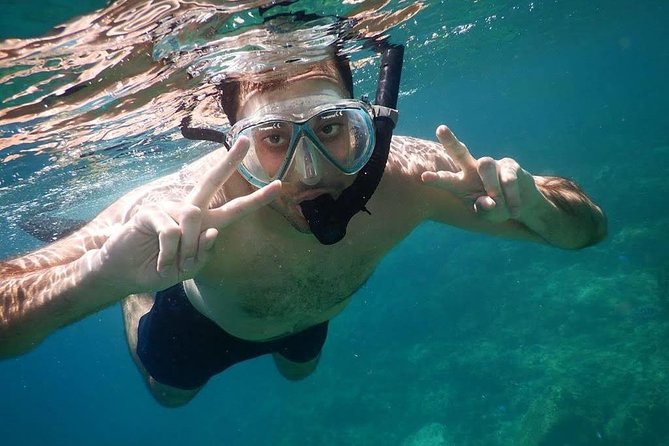 Explore Nha Trang Bay: Half-Day Snorkeling Adventure Tour - Key highlights worth knowing before you go