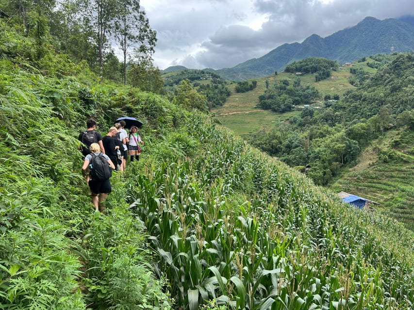 Explore Sapa by TrekkingAdventures, Mountain,Rice fields - Key highlights I think you should know