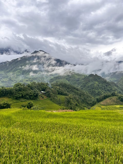 Explore Sapa by TrekkingAdventures, Mountain,Rice fields - Sapa by Local Hmong Sisters, not a tour from a bus