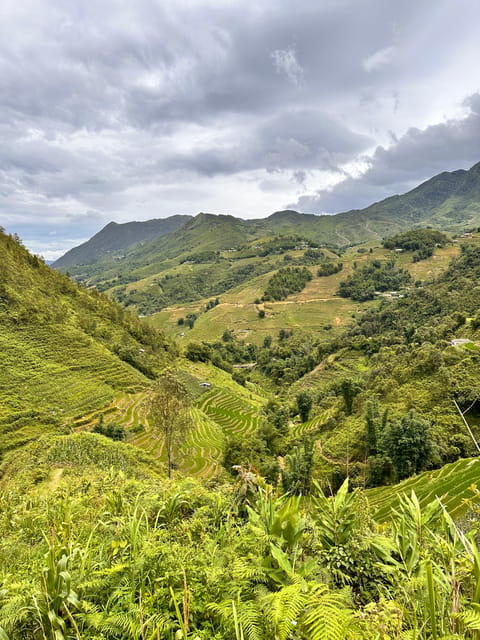 Explore Sapa by TrekkingAdventures, Mountain,Rice fields - Price and value: what $23 buys in a place like Sapa