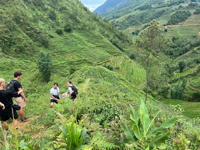 Explore Sapa by TrekkingAdventures, Mountain,Rice fields - Who this trek suits best