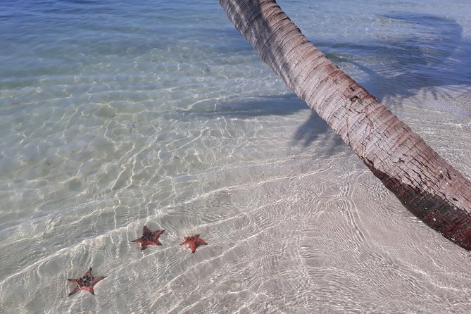 Explore the north of Phu Quoc island by private US Army Jeeps - Guides, Jeep Driving, and the Little Extras That Make It a Win
