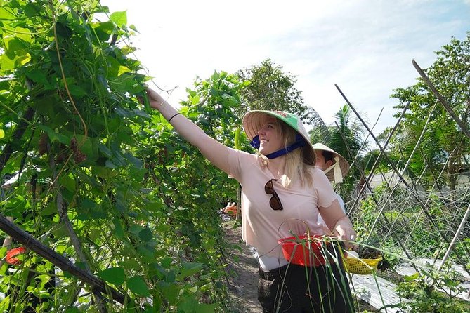 Explore Vietnamese Cuisine: Cooking Class from Ho Chi Minh City - Chef-led instruction built around yin and yang balance