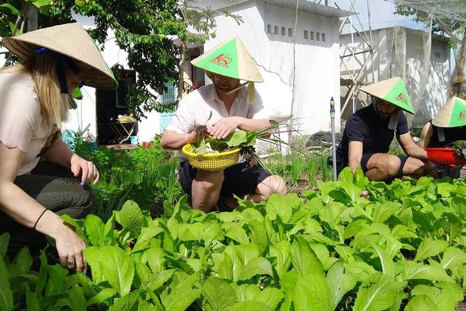 Explore Vietnamese Cuisine: Cooking Class from Ho Chi Minh City - Certificate and recipes: your after-lunch souvenir