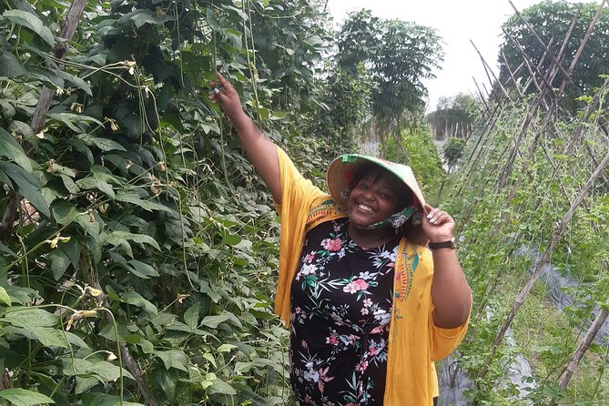 Exploring organic farm & Vietnamese Culinary with Master chef - The morning schedule: pickup at 7:30am, back by 3:30pm