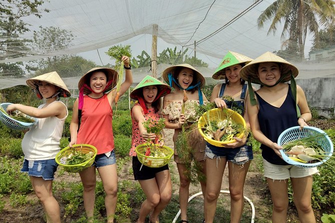 Farm-To-Table Healthy Cooking Class in Ho Chi Minh City - Key Highlights You Should Care About