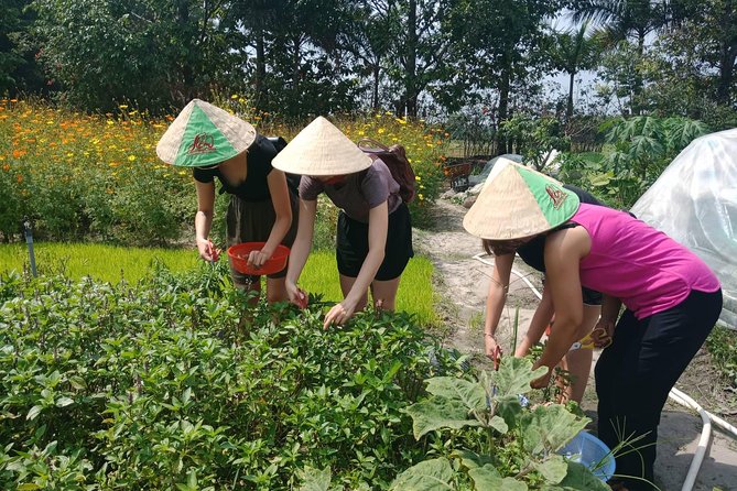 Farm-To-Table Healthy Cooking Class in Ho Chi Minh City - Heading Out of the City: Pickup, Timing, and How the Day Flows