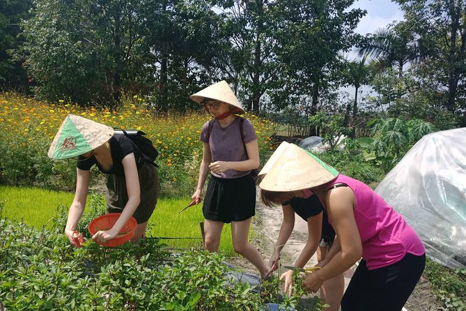 Farm-To-Table Healthy Cooking Class in Ho Chi Minh City - Open-Air Cooking Lessons: Simple Healthy Techniques, Four Dishes, Real Tasting