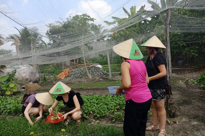 Farm-To-Table Healthy Cooking Class in Ho Chi Minh City - Price and Value: Is $67 Worth It for a Half-Day in HCMC?