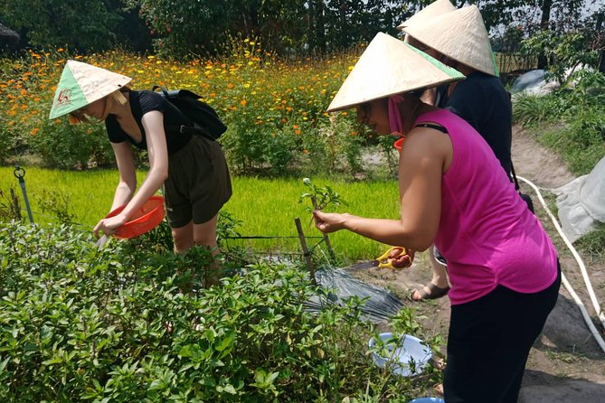 Farm-To-Table Healthy Cooking Class in Ho Chi Minh City - Practical Tips So the Day Feels Easy