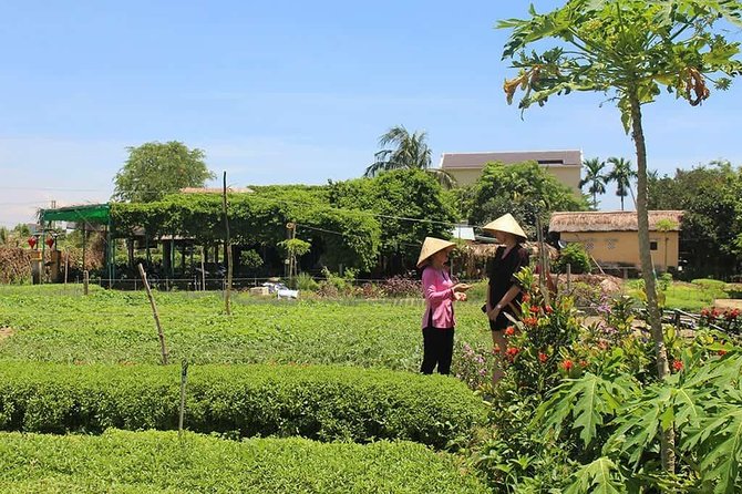 Farming with the Local Famers - Farming with local farmers: seaweed, fertilizer, and vegetable beds