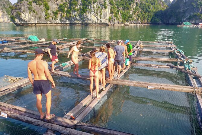 From Ha Noi/Cat Ba: Full-Day Cruise to Lan Ha bay - Ha Long Bay - Why this Lan Ha to Ha Long day cruise is worth your time