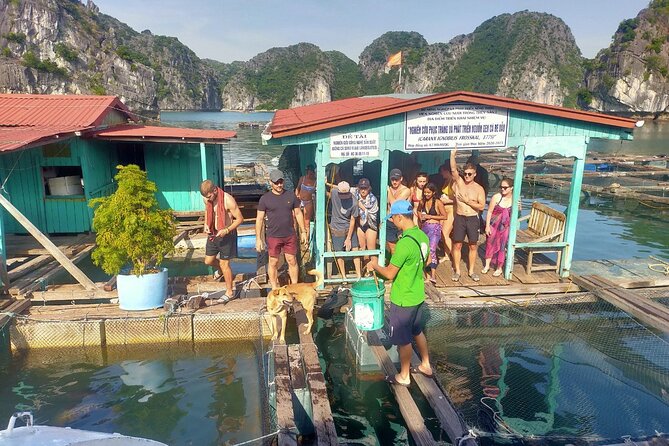 From Ha Noi/Cat Ba: Full-Day Cruise to Lan Ha bay - Ha Long Bay - Morning Lan Ha: Beo pier, Cai Beo, and a more local start