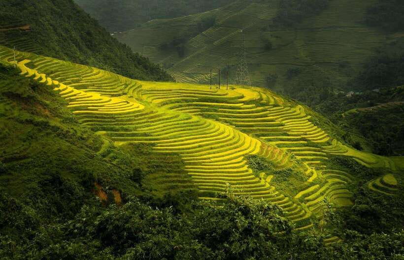 From Hanoi: 1-day Sapa Trekking Tour With Overnight Bus - Key Things I’d Focus On