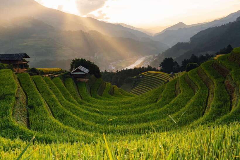 From Hanoi: 1-day Sapa Trekking Tour With Overnight Bus - The Big Idea: Sapa Trekking Without the Hotel Shuffle