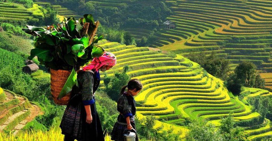 From Hanoi: 2-Day 2-Night Sapa Tour by Overnight Train - Overnight Train from Hanoi to Lao Cai: the start that actually sets the mood
