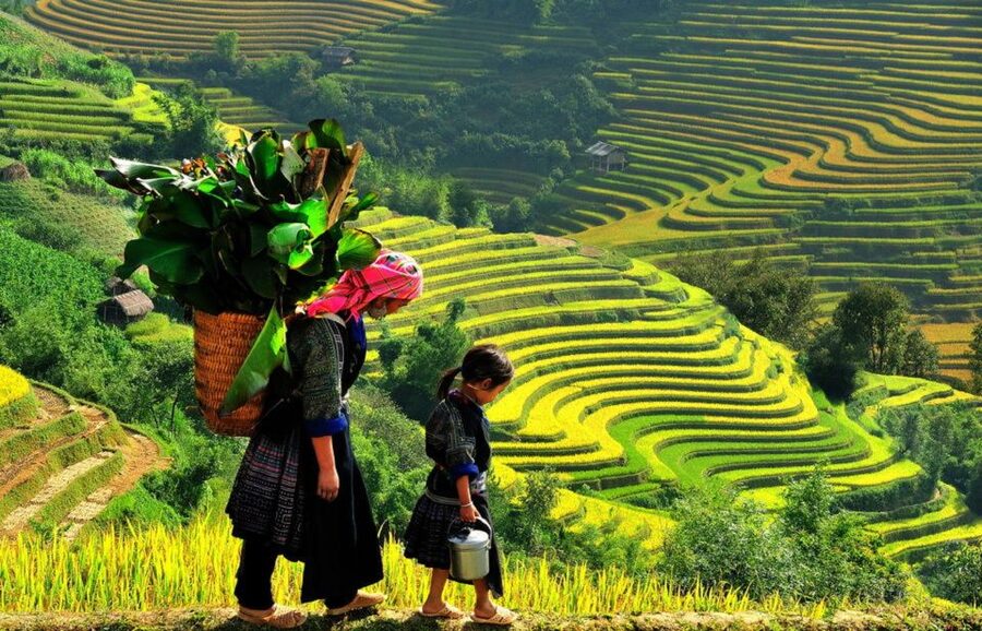 From Hanoi: 2-Day 2-Night Sapa Tour by Overnight Train - Small friction points to plan for (so they don’t ruin your trip)