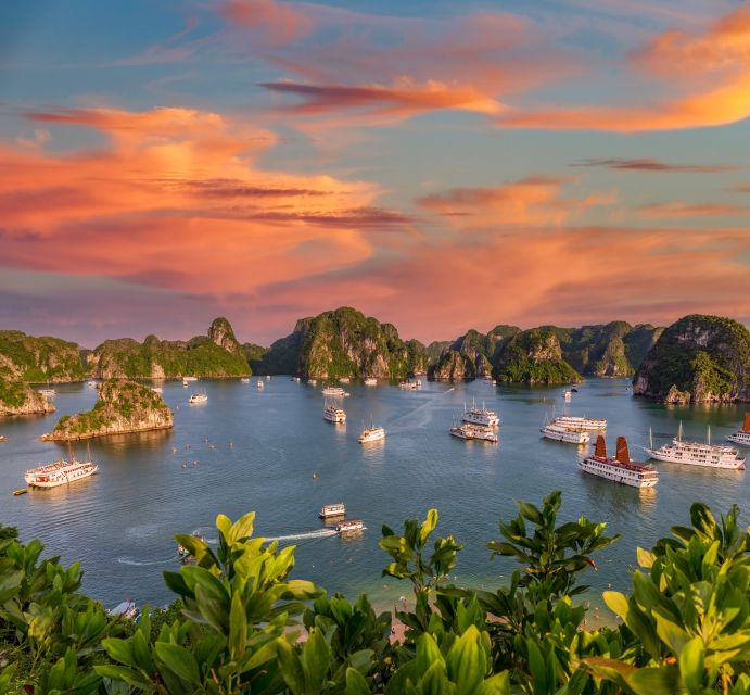 From Hanoi: 2-Day Ha Long Bay Tour with Ninh Binh and Cruise - Practical packing tips that make the days easier