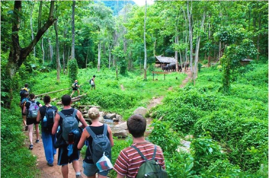 From Hanoi: 2-Day Ha Long Bay Tour with Ninh Binh and Cruise - A Tight Two-Day Combo: Ha Long Bay plus Ninh Binh from Hanoi
