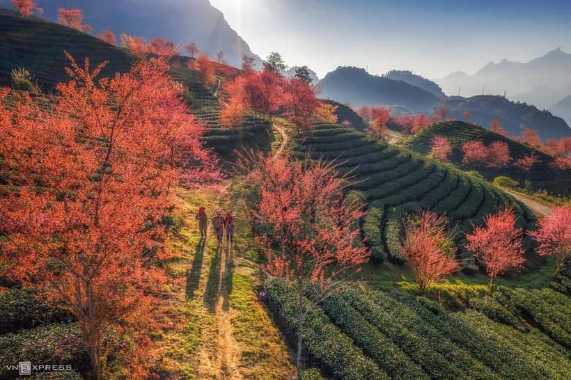 From Hanoi: 2-Day Luxury Sapa Trekking Tour with Homestay - A Ta Van homestay that feels like village life, not a photo stop