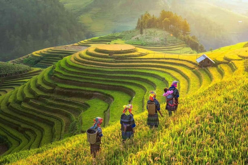 From Hanoi: 2-Day Luxury Sapa Trekking Tour with Homestay - Day 1, 8 km-ish of effort that starts with Y Linh Ho and ends in Ta Van