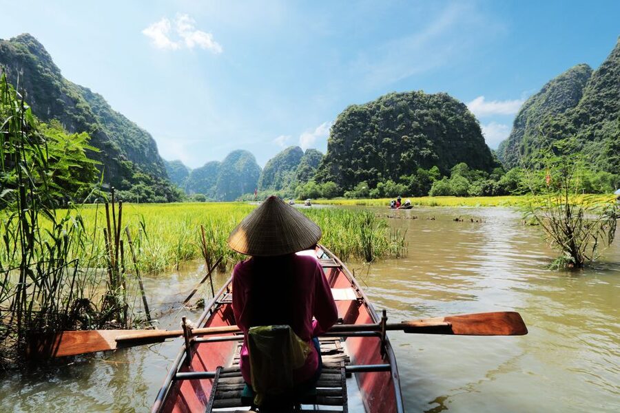 From Hanoi: 2-Day Ninh Binh Tour with Accommodation & Meals - Thung Nham Bird Valley: big numbers, watchable rhythm