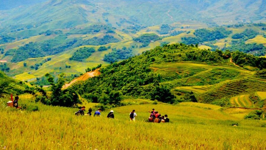 From Hanoi: 2-Day Overnight Sapa Tour by Limousine - Should you book this Sapa overnight tour?