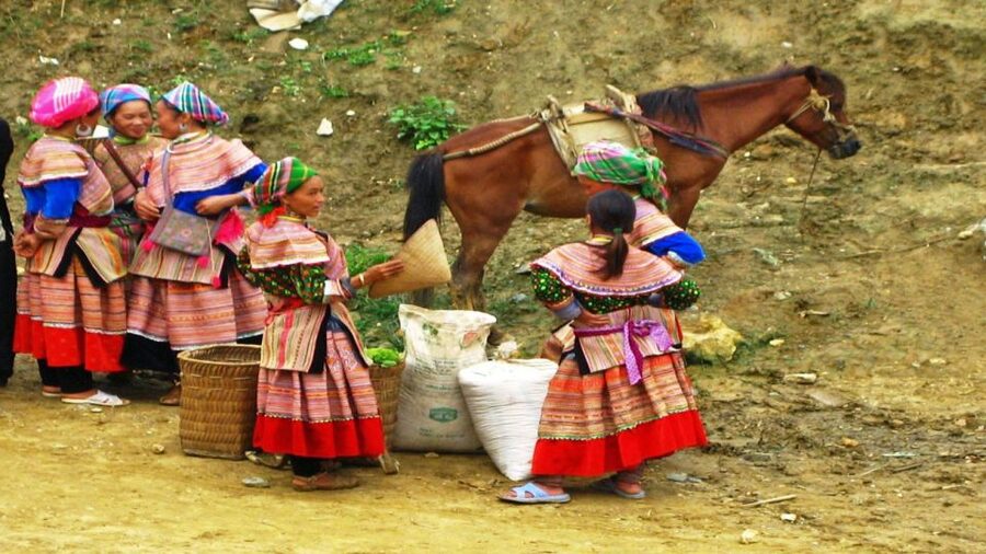 From Hanoi: 2-Day Overnight Sapa Tour by Limousine - Price and value: what you actually get for $150