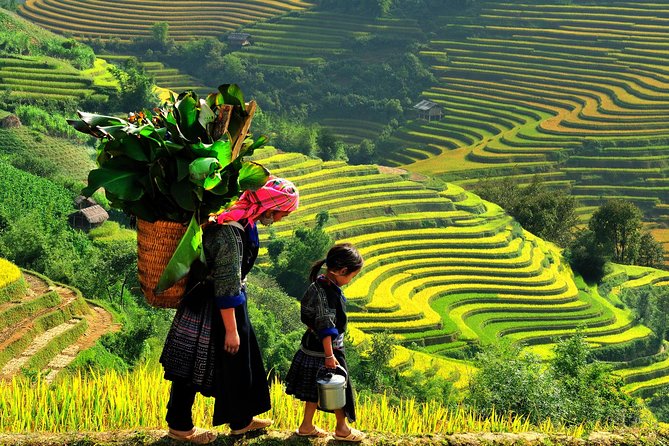 From Hanoi: 2-Day Overnight Sapa Tour by Luxury Van Limousine - Overnight in Sapa: Dorm, Homestay, Bungalow, or 3- and 4-star Hotel
