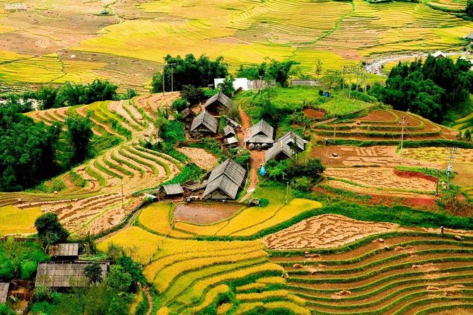 From Hanoi: 2-Day Overnight Sapa Tour by Luxury Van Limousine - Transportation and Logistics: The Part You Should Watch Closely